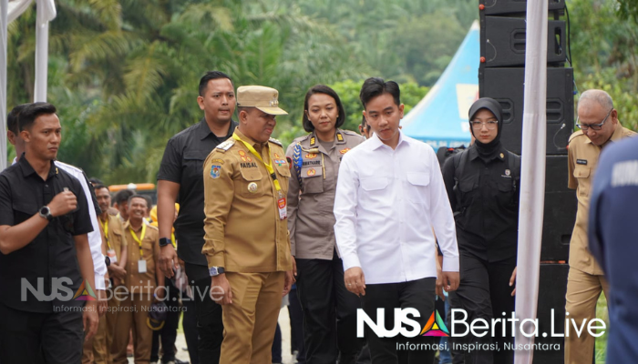 Wapres Gibran Kunjungi Sirapit Langkat- Pj Bupati Langkat Sambut Percepatan Gerakan Tanam Padi - Nusaberita.live