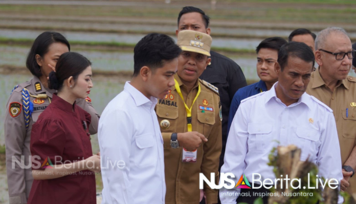 Wapres Gibran Kunjungi Sirapit Langkat- Pj Bupati Langkat Sambut Percepatan Gerakan Tanam Padi - Nusaberita.live