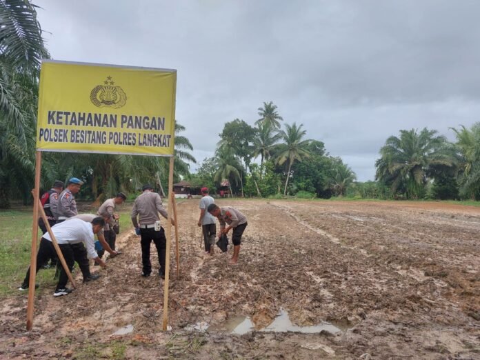 Polsek Besitang Polres Langkat Manfaatkan Lahan Kosong, Dukung Program Ketahanan Pangan - Nusaberita.live