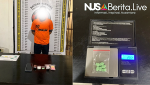 Satres Narkoba Polres Simalungun Ringkus Pengedar Sabu dan Ekstasi di Tapian Dolok, Buktikan Tak Ada Tempat Bagi Pelaku Penyalahgunaan Narkoba - Nusaberita