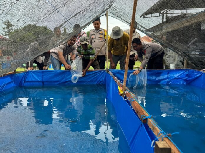 Polsek Padang Tualang Tingkatkan Kesejahteraan Warga Lewat Bantuan Kolam dan Bibit Ikan Lele - Nusaberita