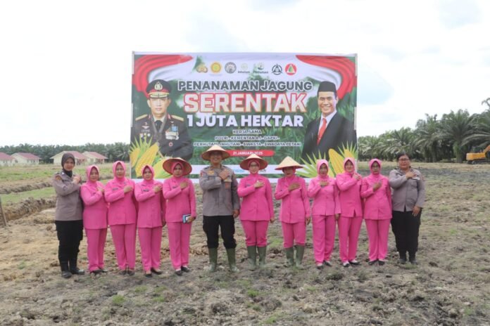 Penanaman Jagung Serentak 1 Juta Hektar: Wujud Nyata Program Ketahanan Pangan
